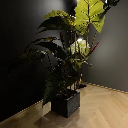 Fiorini Apartment *